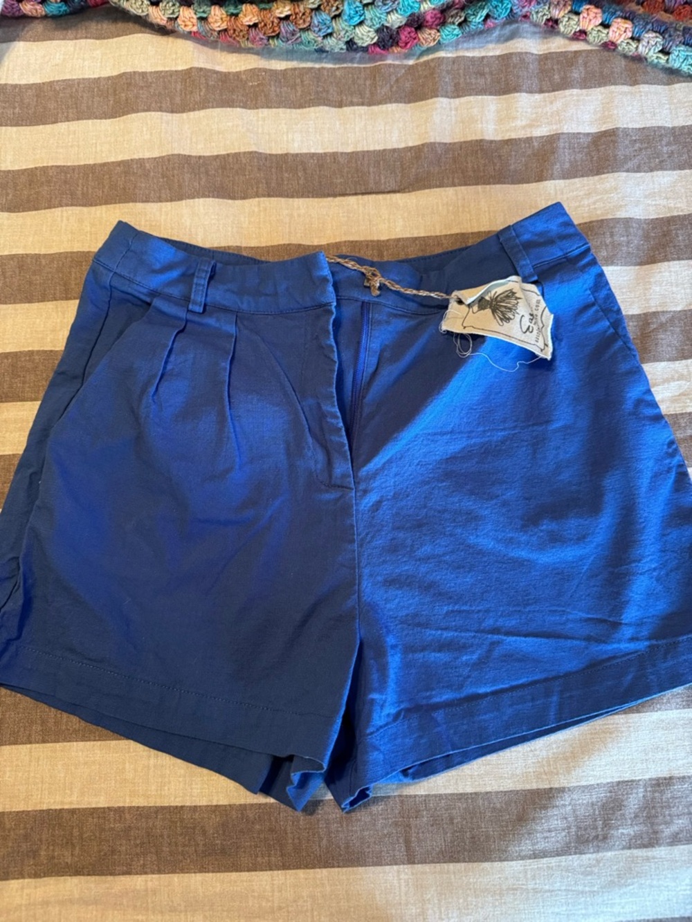 easel Royal Blue Pleated Cotton Shorts